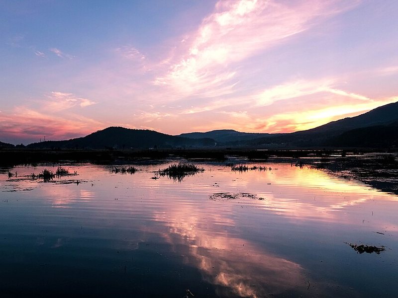 北海湿地